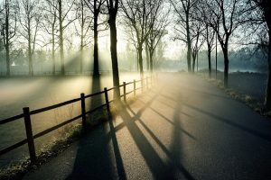 fog 6126432 1280 1