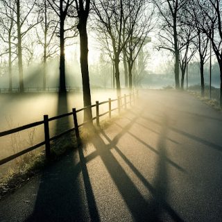 fog 6126432 1280 1