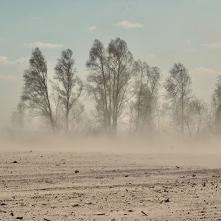 sandstorm 5427661 1280 1