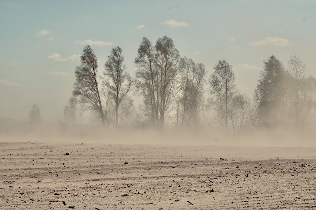 burza piaskowa 1 sandstorm 5427661 1280 1